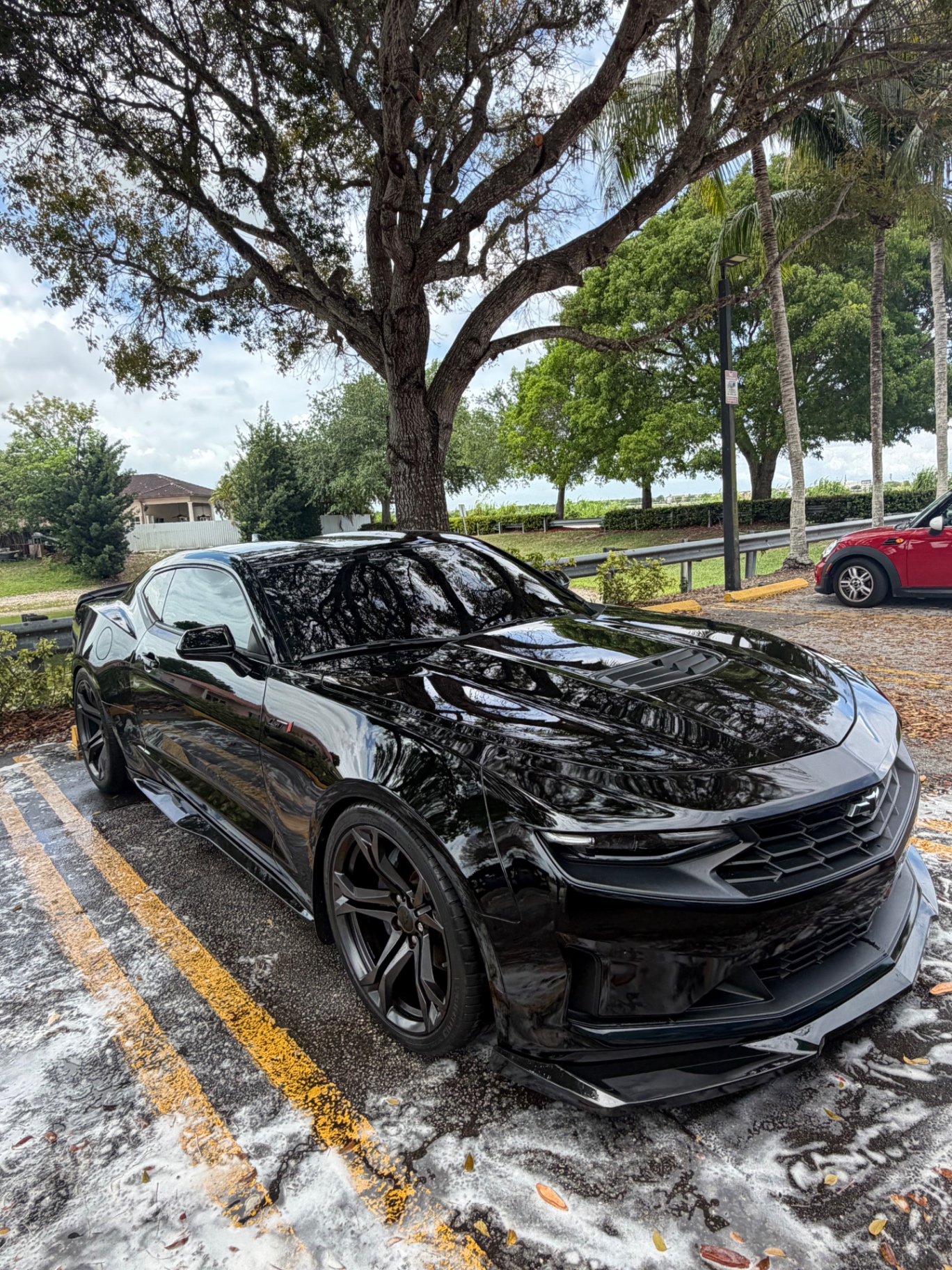 Glossy black Chevrolet Camaro freshly washed in a Florida lot